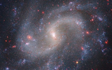 New JWST images suggest our understanding of the cosmos is flawed