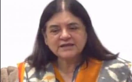 ISKCON sues Maneka Gandhi for Rs 100 crore over her 'biggest cheat', 'selling cows to butcher' remark