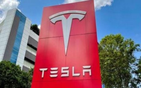 Elon Musk's Tesla sued over 'racial bigotry' at California plant