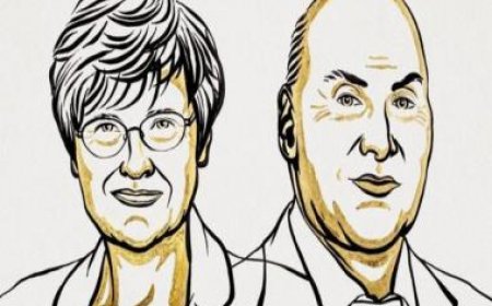 Nobel Prize in medicine 2023 awarded to Katalin Karikó, Drew Weissman for pioneering mRNA vaccine to fight COVID-19
