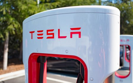 Tesla deliveries in focus amid price cuts, muted China demand,
