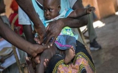 How India-manufactured malaria vaccine will change the fight against killer disease