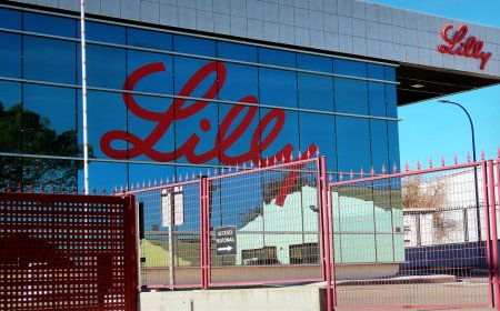 Point Biopharma stock soars on $1.4B takeover bid from Eli Lilly