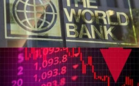 World Bank slashes Pakistan's growth projection, warns debt burden may rise to 89.3 per cent of GDP till FY2027