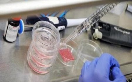 Bioprinted: Scientists print most human-like skin that heals itself and shows less scars