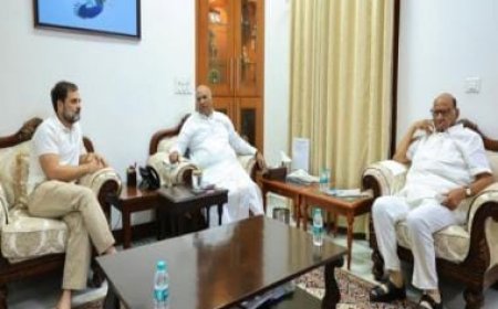 Sharad Pawar meets Kharge, Rahul Gandhi, focus on INDIA bloc’s next plan of action
