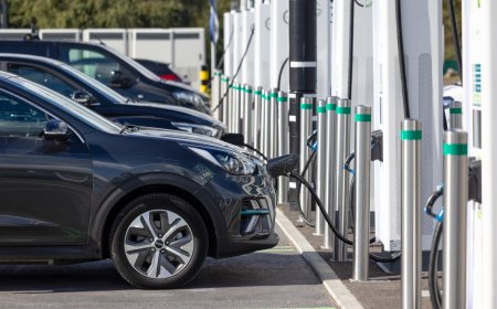 One automotive CEO has a startling prediction about electric cars