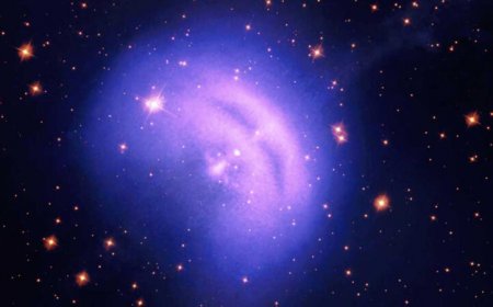 Vela’s exploded star is the highest-energy pulsar ever seen