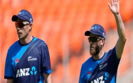 New Zealand vs Netherlands: Weather forecast for World Cup match and pitch report