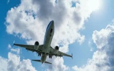 Germany’s Hamburg airport halts flights after threat to plane from Iran