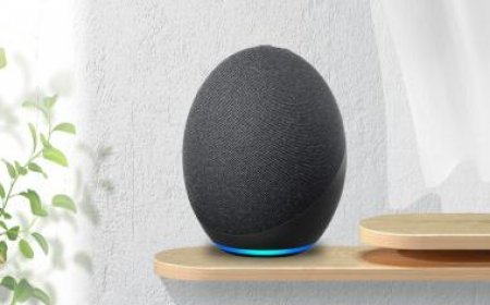 Amazon Alexa believes 'US 2020 elections was stolen by Democrats,' using massive voter fraud