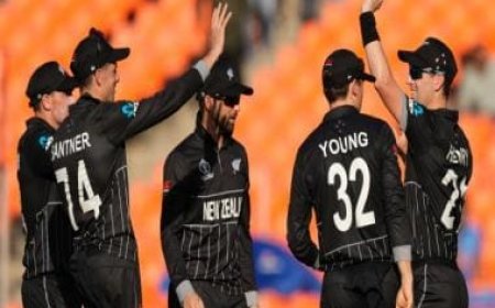 Netherlands vs New Zealand Highlights, World Cup 2023: Black Caps defeat Dutchmen by 99 runs