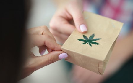 California governor blocks 'cannabis cafe' bill for wacky reason