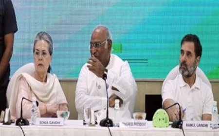 'Openly standing with violence': BJP slams Congress for extending support to Palestine