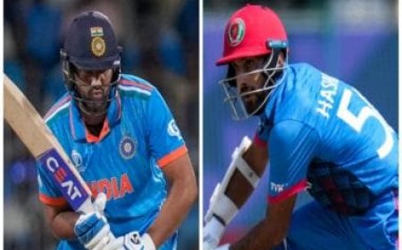 India vs Afghanistan Highlights, World Cup 2023: Rohit, Kohli help India clinch eight-wicket win