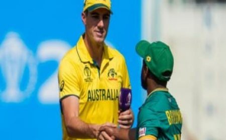 Australia vs South Africa Highlights, World Cup 2023 Match at Lucknow: Proteas clinch 134-run win