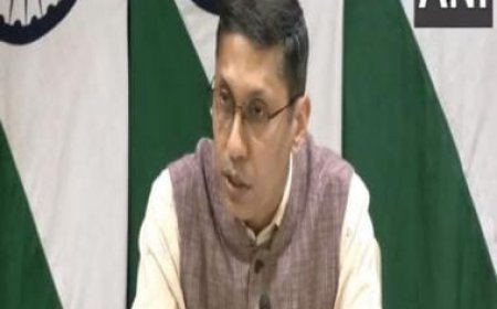 India wants independent Palestine living at peace with Israel, says MEA