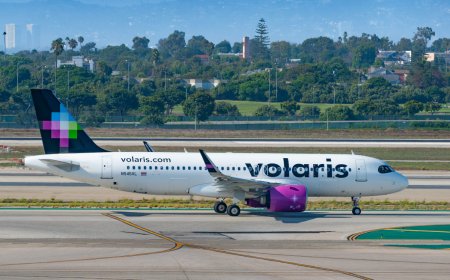 Watch: Nightmare infestation overtakes plane and delays flight for hours