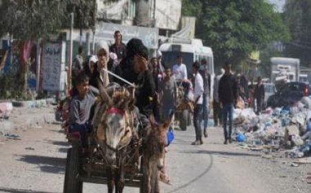 Israel-Hamas War: Thousands of Palestinians flee following Israel's evacuation warning