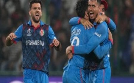 World Cup 2023: Mujeeb Ur Rahman, Hashmatullah Shahidi react to Afghanistan's stunning win over England