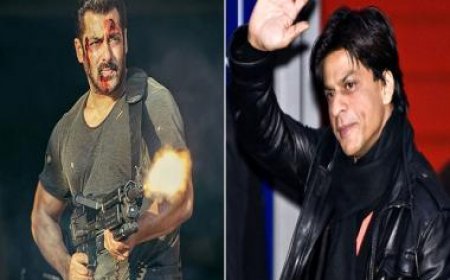 Shah Rukh Khan will not be promoting Salman Khan’s Tiger 3 and here is why