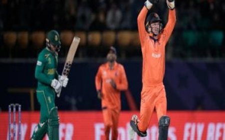 World Cup 2023: Edwards, van Beek help Netherlands stun high-flying South Africa in Dharamsala