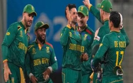 South Africa vs Netherlands Updates, Highlights, World Cup 2023 Match at Dharamsala: Dutchmen stun Proteas by 38 runs
