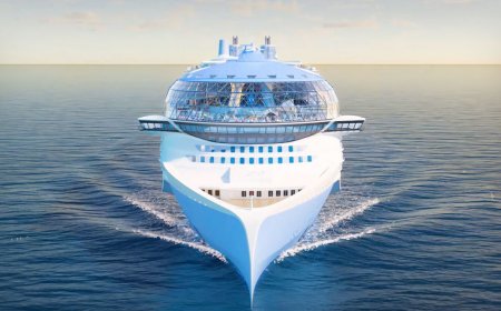 Royal Caribbean cruise ship helps in key evacuation effort