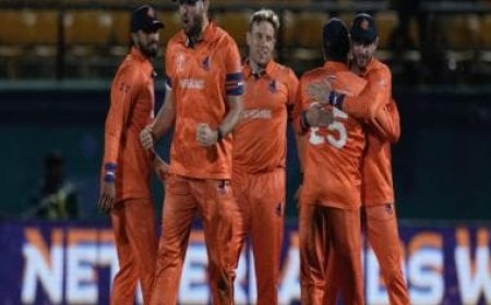 World Cup 2023: Netherlands and Afghanistan finally light up a flagging tournament