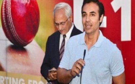 'Uncalled for, unprofessional': Salman Butt questions Mickey Arthur's statements after loss to India