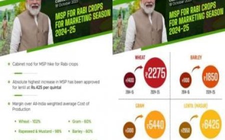 Cabinet approves increase in MSP for all Rabi crops for marketing season 2024-25