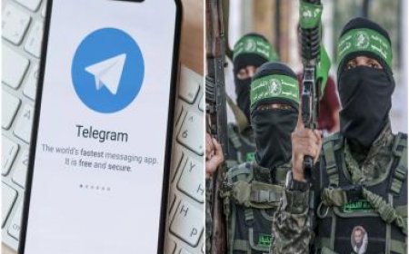 Hamas Telegram channel has grown three times after attack on Israel. CEO explains why and how