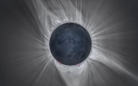 Here’s how citizen scientists can help during the 2024 solar eclipse