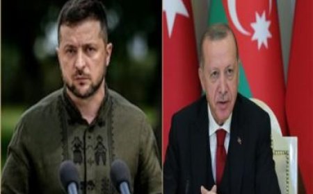 Zelenskyy and Erdoğan discuss war in Ukraine and situation in Middle East in call