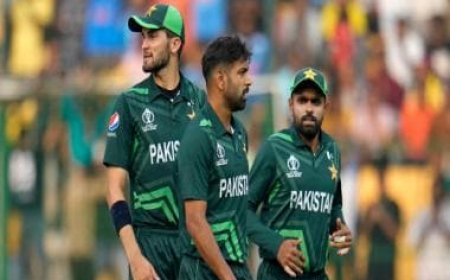 PAK vs AFG, World Cup 2023: Pakistan, Afghanistan aim to bounce back from defeats; LIVE streaming and more