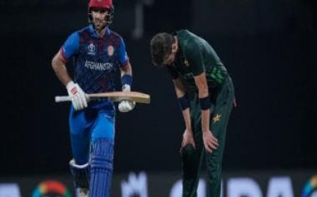 World Cup 2023: All-round Afghanistan stun Pakistan in Chennai, collect first-ever ODI win against neighbours