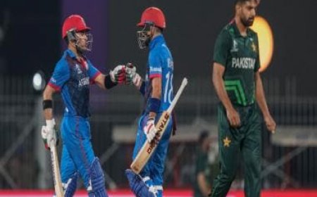 Afghanistan vs Pakistan Top Moments: How AFG dismantled PAK to make history