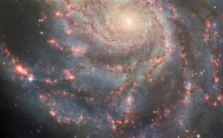 A rare glimpse at a relatively nearby supernova offers clues to how stars die