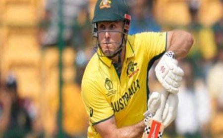 World Cup 2023: Australia will address late collapse against Pakistan in Netherlands game, says Marsh