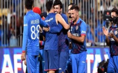 World Cup 2023: What Afghanistan's commanding victory over Pakistan means for the war-torn nation