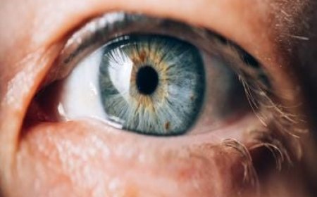 Miracle Cure: Scientists develop eye implants using insulin-producing cells that could treat diabetes