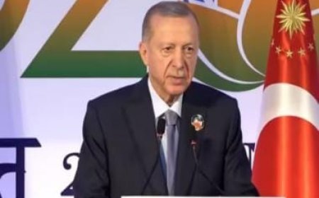 Hamas is not a terrorist organisation but liberation group, says Erdogan