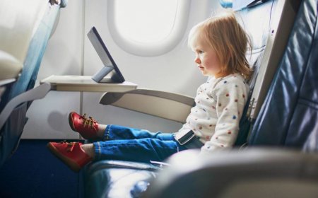 TSA post of misbehaving toddler ignites debate of kids on planes