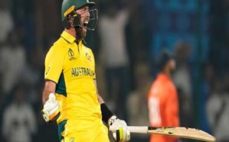 World Cup 2023: Maxwell's reverse switch hit mayhem gives extra wings to mighty Aussies