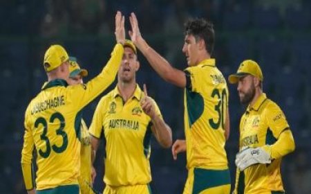 Australia vs New Zealand, World Cup 2023: Dharamsala weather forecast, pitch report, live streaming