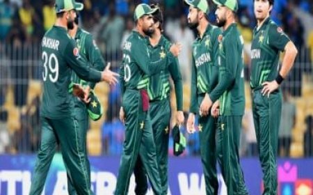 World Cup 2023: Mickey Arthur warns against Pakistan 'witch-hunt' after flop