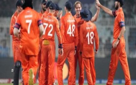 World Cup 2023: Netherlands demand 'bigger nation' status after another big scalp