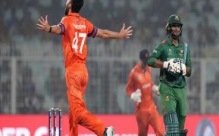 World Cup 2023: Paul van Meekeren's destructive spell and other key moments from Netherlands' victory over Bangladesh