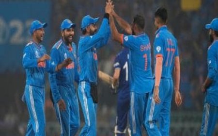 India vs England, World Cup 2023: 'Defending against the defending champions', Netizens hail hosts' 'special' win