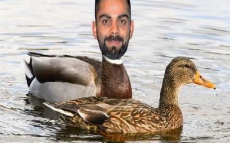 World Cup 2023: Barmy Army trolls Virat Kohli, gets savage reply from Bharat Army